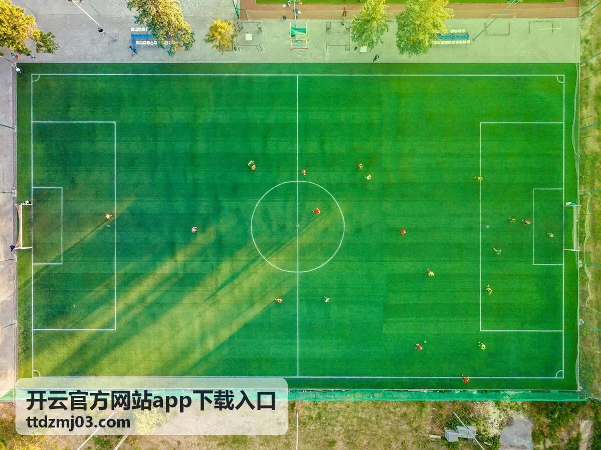 开云官方网站app下载入口安装步骤图文示意