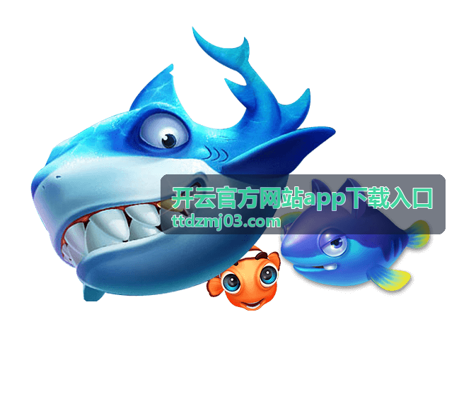 开云官方网站app下载入口新设备首次安装场景